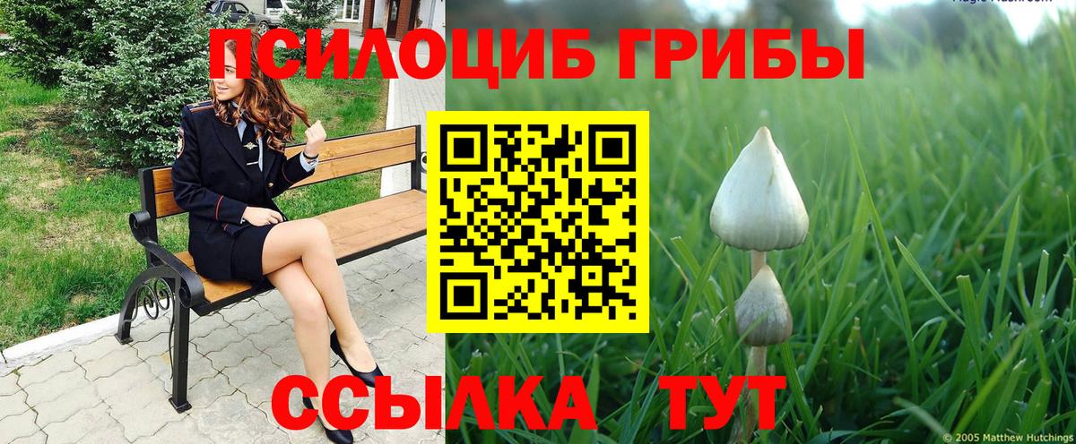 Галлюциногенные грибы мухоморы Гудермес
