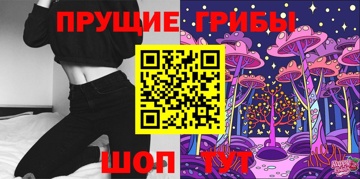 Гудермес  Галлюциногенные грибы Psilocybine cubensis  Вход с VPN 